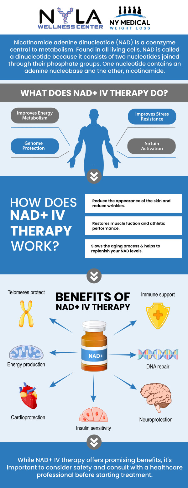 NAD IV Therapy administers nicotinamide adenine dinucleotide (NAD+), a vital coenzyme for energy production and cellular repair, directly into the bloodstream. This therapy helps boost energy levels, improve mental clarity, enhance athletic performance, and support overall wellness. It is often used for recovery, reducing fatigue, and promoting anti-aging effects. Visit our professionals to learn more about NAD + IV therapy. For more information, contact us or schedule an appointment online. We are conveniently located at 65 Hilton Ave #250, Garden City, NY 11530. NAD IV Therapy administers nicotinamide adenine dinucleotide (NAD+), a vital coenzyme for energy production and cellular repair, directly into the bloodstream. This therapy helps boost energy levels, improve mental clarity, enhance athletic performance, and support overall wellness. It is often used for recovery, reducing fatigue, and promoting anti-aging effects. Visit our professionals to learn more about NAD + IV therapy. For more information, contact us or schedule an appointment online. We are conveniently located at 65 Hilton Ave #250, Garden City, NY 11530.