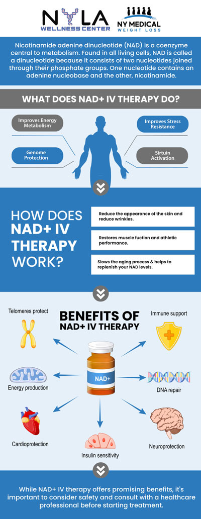 NAD IV Therapy administers nicotinamide adenine dinucleotide (NAD+), a vital coenzyme for energy production and cellular repair, directly into the bloodstream. This therapy helps boost energy levels, improve mental clarity, enhance athletic performance, and support overall wellness. It is often used for recovery, reducing fatigue, and promoting anti-aging effects. Visit our professionals to learn more about NAD + IV therapy. For more information, contact us or schedule an appointment online. We are conveniently located at 65 Hilton Ave #250, Garden City, NY 11530. NAD IV Therapy administers nicotinamide adenine dinucleotide (NAD+), a vital coenzyme for energy production and cellular repair, directly into the bloodstream. This therapy helps boost energy levels, improve mental clarity, enhance athletic performance, and support overall wellness. It is often used for recovery, reducing fatigue, and promoting anti-aging effects. Visit our professionals to learn more about NAD + IV therapy. For more information, contact us or schedule an appointment online. We are conveniently located at 65 Hilton Ave #250, Garden City, NY 11530.
